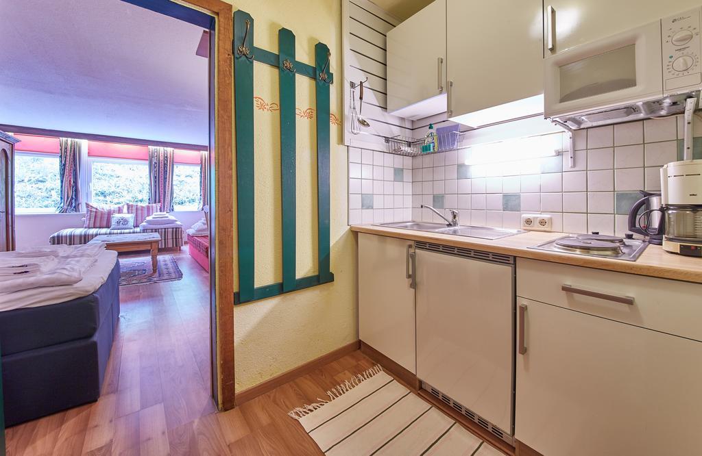 Appartements Alpin Saalbach-Hinterglemm Kültér fotó
